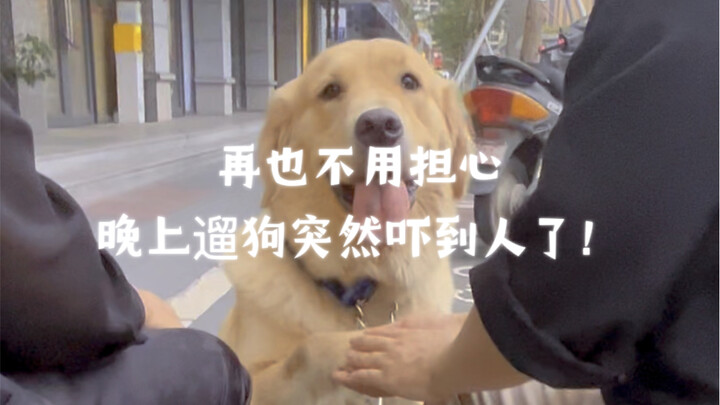 No more worrying about scaring people when you take your dog out at night!