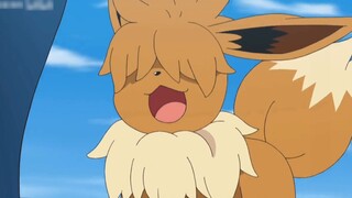 Jika Anda menyukai Ibrahimovic, lihat di sini, lagu resmi Ibrahimovic.