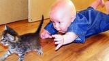เด็กและแมวตลก - เพื่อนที่ดีที่สุดตลอดกาล