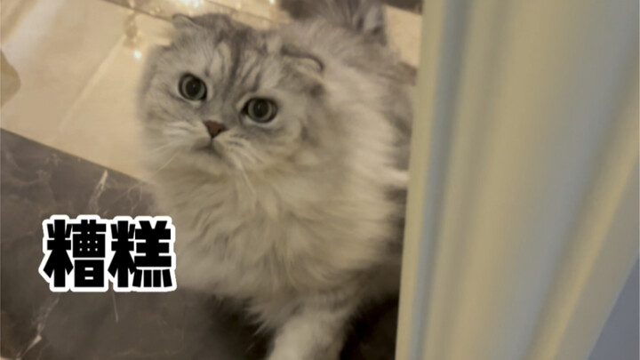 Thanks a million! I've been isolating in my bedroom for a few days, and it's kept him/her super busy