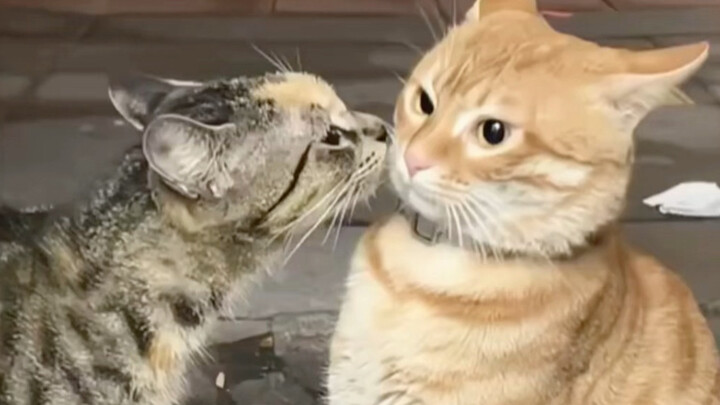 ชอบมากเวลาที่มันชนกันน่ะ