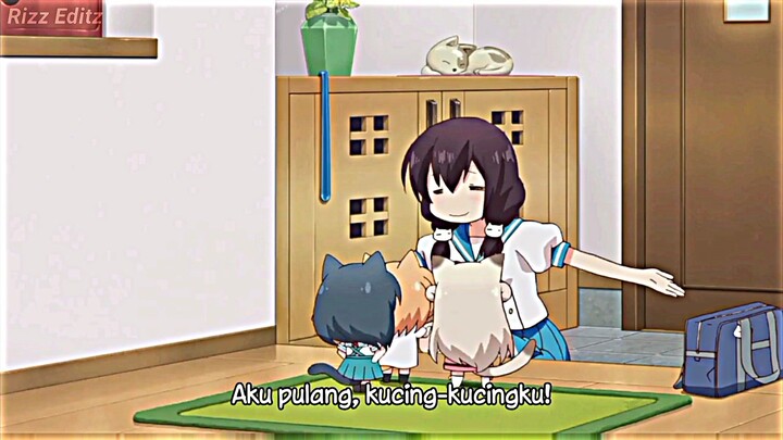 loli kucing