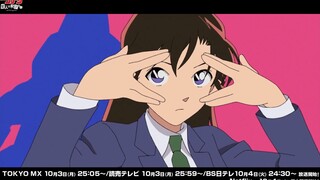 [DNA Knotting] The compatibility between the OP of "Detective Conan Mr. Criminal Zeze" and "Ciki Cik