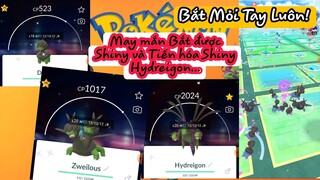 Bắt Được Shiny Deino Tiến Hóa Thành Shiny Hydreigon! Catch Shiny Deino Evolve Shiny Hydreigon!