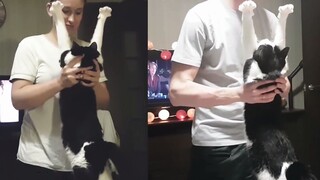 猫咪对待男主人和女主人，会有区别吗？