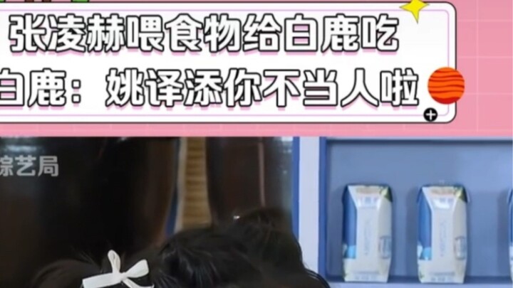 Bai Lu: Do you want to listen to what you are saying hahahaha