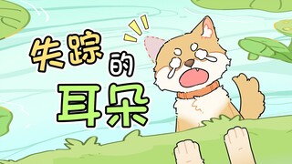 小狗：丢了一只耳朵怎么办？！在线等，急！