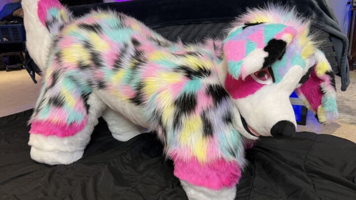 Đội cứu hộ Paw Patrol dễ thương quá