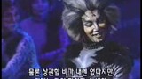 Jellicle Songs for Jellicle Cats - Korea 2000