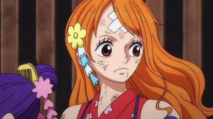 one piece eps 1041 sub indo