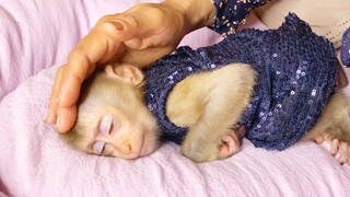 Good Night Maya!! Grandma Comfort Baby Monkey Maya To Sleep