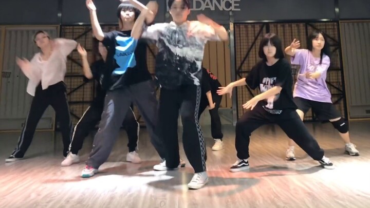 Seven fans covered Suzaku on the first day of the debut and everyone rolled together
