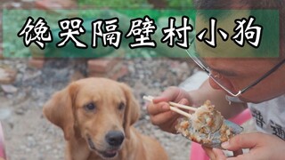 禁渔期结束了，又能吃到网捕的野虾了，漠叔到渔村不忘正道的光