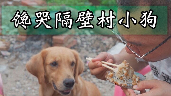 禁渔期结束了，又能吃到网捕的野虾了，漠叔到渔村不忘正道的光