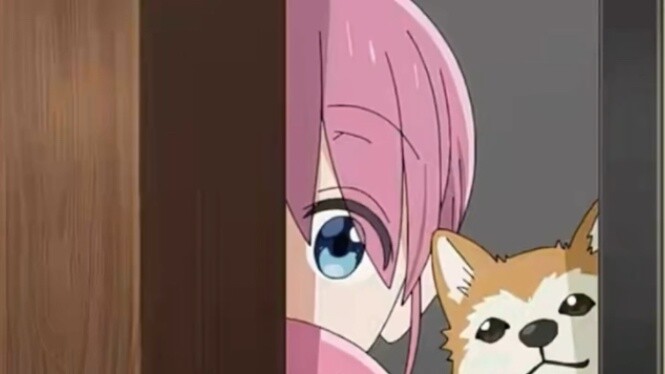 Who dares to play Genshin Impact?