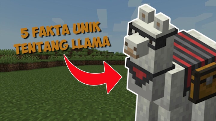 5 Fakta Unik Tentang LLAMA di Minecraft!!