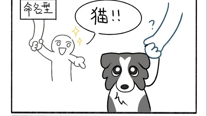 Những đứa trẻ mà tôi gặp khi dắt chó đi dạo