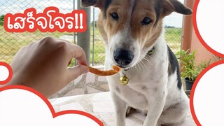 โลกของแสนดี ตอน กินไก่ในหม้อทอดไร้น้ำมัน