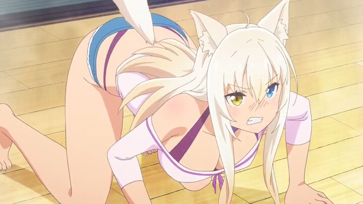 pengen banget punya kucing seperti ini 😁 | Hilarious Anime