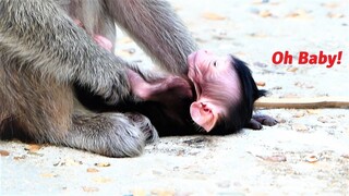 Ah I t Is Cool! Mother Rana Left Newborn Baby on The Ground and Nursing Him Carefully