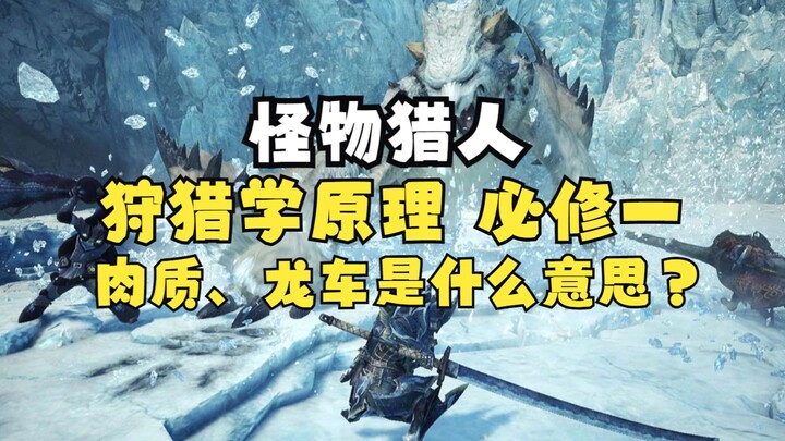 Monster Hunter World: Istilah apa saja yang harus diketahui oleh Hunter pemula dari Hunter x Hunter?