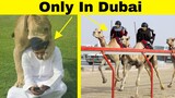 Things That Are Possible ONLY IN DUBAI