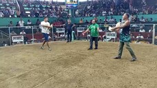 MARKENLIT 2nd fight/win!