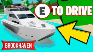 SECRETS of the NEW BROOKHAVEN UPDATE