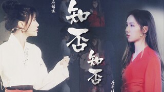 【GNZ48左佳】《知否知否》左佳合作曲目