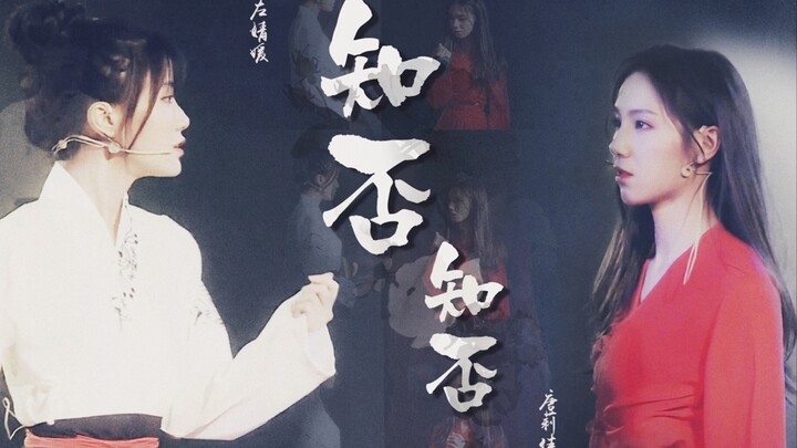 【GNZ48左佳】《知否知否》左佳合作曲目