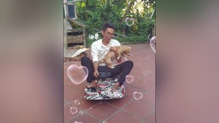 Bơ cảm thấy sợ hãi. yeucho yeuchomeo cún cúncon chó chómèo chócon chó_cưng chókhôn yeuchomeo cưng chócute pet dog dogsoftiktok doggo