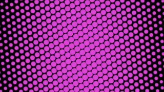 ลิงกูคุ