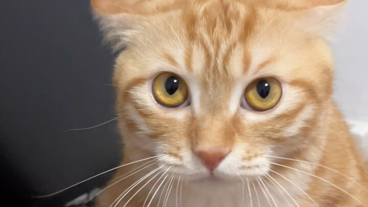 Even if the Foolish Old Man came, it would still be tough to move it!