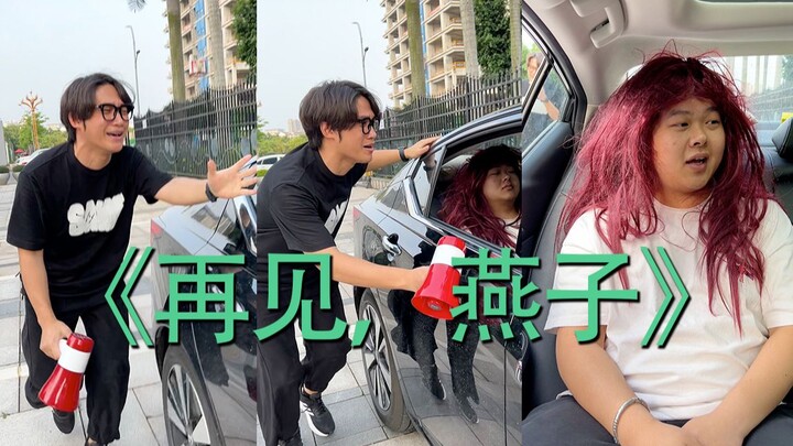 Swallow, will we ever see each other again?