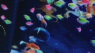 中秋没吃月饼，今天🉐买个特价的717[🫢][🫢]