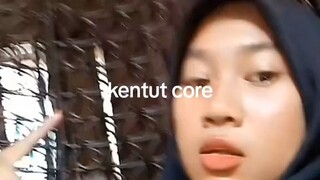 kentut core
