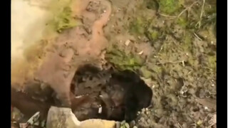 Catching a "human head" while fishing is terrifying!