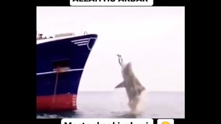 kocaaak + ngeriii gaezzz