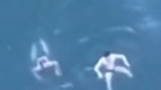 Cày hai dặm đất