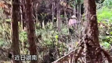 爷爷:这话该我说