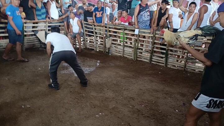 proud parin bilang amo mo nok🐓🐓  kahit talo tayu ganda ng laban na pinakita mo