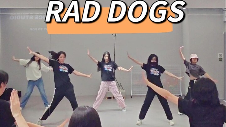Jumping VBS: A Life Later, Still Rad Dogs [Jumping Candy]