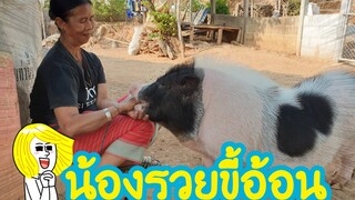 🐷น้องรวยอ้อนคุณยาย🥰