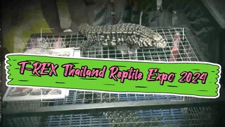 T-REX Thailand Reptile Expo 2024