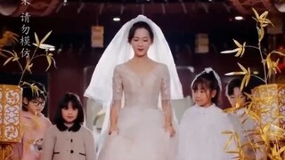 งูทองนำโชค ห้าแสบป่วนตรุษจีน
