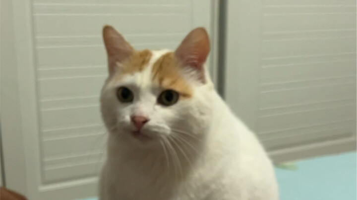 I really feel like he’s putting in effort to talk to me…