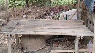 pokoknya gak punya beras live ya gays