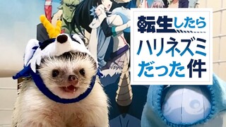 【転生したらスライムだった件】お口のモグモグが可愛すぎる♪（ハリネズミのコスプレ)