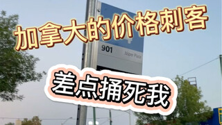 Apa? Di Kanada ingin makan sayur? Harga barang memberitahu kamu apa artinya haus minum air, lapar me