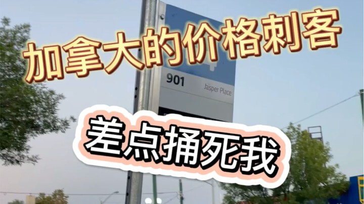 Apa? Di Kanada ingin makan sayur? Harga barang memberitahu kamu apa artinya haus minum air, lapar me